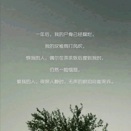 关于爱情的句子经典语录(有关爱情的经典语句简短)