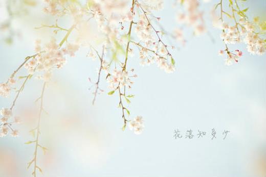 本年给长辈的春节祝福语[60句] (新年祝福语150字)