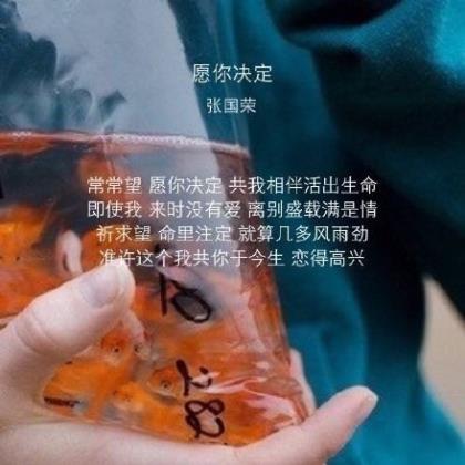 形容男孩子鼻子相貌的句子(形容男生温柔的句子)