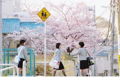 二年级小学生格言大全（小学生名言警句100句）