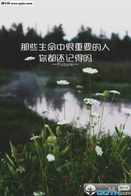 专注做一件事的励志语(有关专注的名人名言)