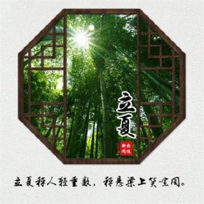 形容青春期叛逆的句子(青春叛逆句子语录)