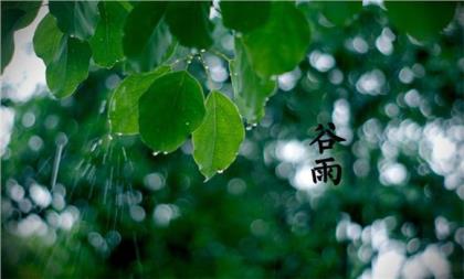 最适合发朋友圈的句子(适合雨夜发的朋友圈)