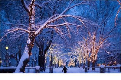 朋友圈下雪说说幽默（下雪天朋友圈装逼指南）