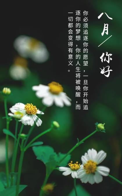 光棍节搞笑说说带图片