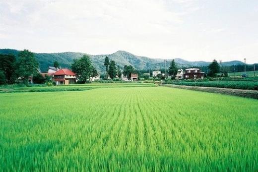 元宵节祝福语大全(学校40周年校庆祝福语)