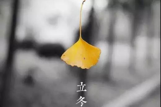 给老人春节祝福语大全