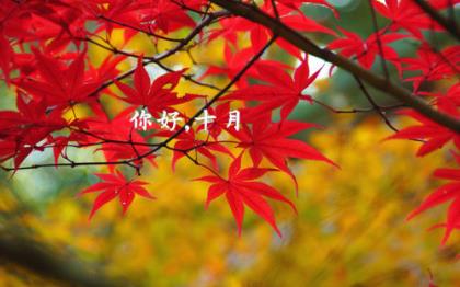 平安夜幽默祝福语简短(关于平安夜的幽默说说)