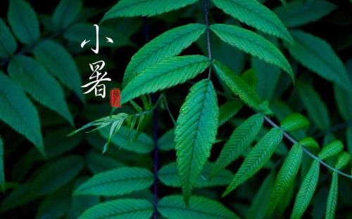 吸引人的促销广告语（情人节促销活动方案）