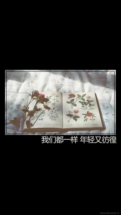 教师教育格言座右铭(美术教师格言经典语录)