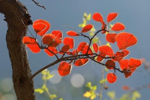 春节祝福短信简短(教师节短信温馨祝福语)