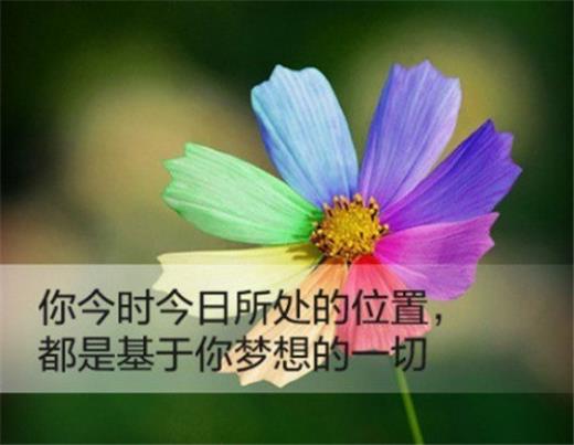 周末愉快最简单一句话发朋友圈[36句] (晚安句子不超15个字)