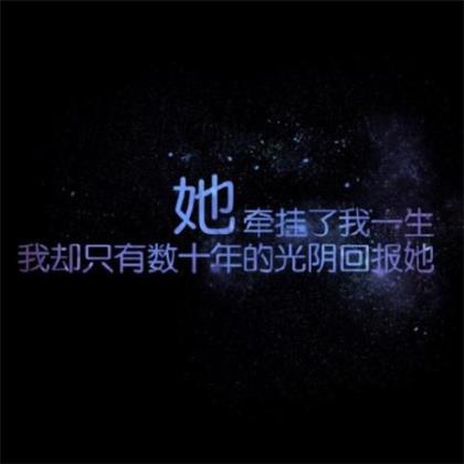 感恩老师的句子10字