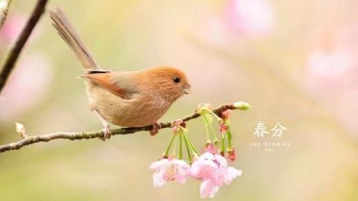 三八妇女节群发祝福大全(三八妇女节幽默祝福)