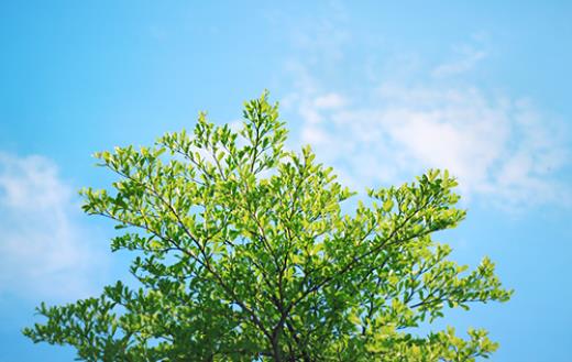 观于写作的名人名言(关于的诗句中秋节)