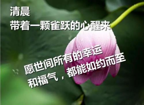 妇女节的祝福短信