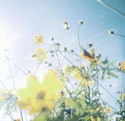 五一劳动节祝福词（五一节祝福短信客户）