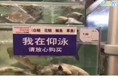 个性签名励志经典短句