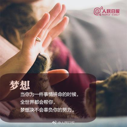 摘抄赞颂老师的语句[25条] (名人赞美老师的句子)