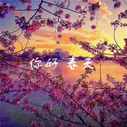 元宵节快乐祝福语2023(简短祝福语八个字)